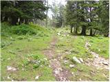 Planina Podvežak - Kapelica na Molički planini